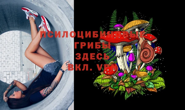 спайс Козловка