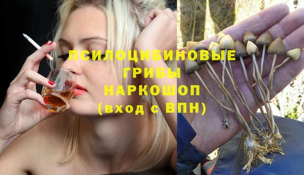 спайс Козловка